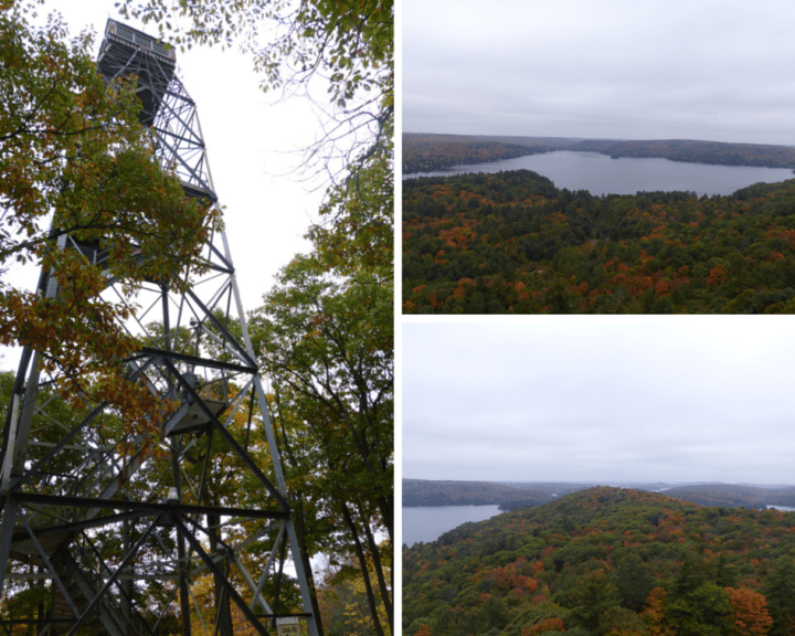 Dorset Lookout Tower