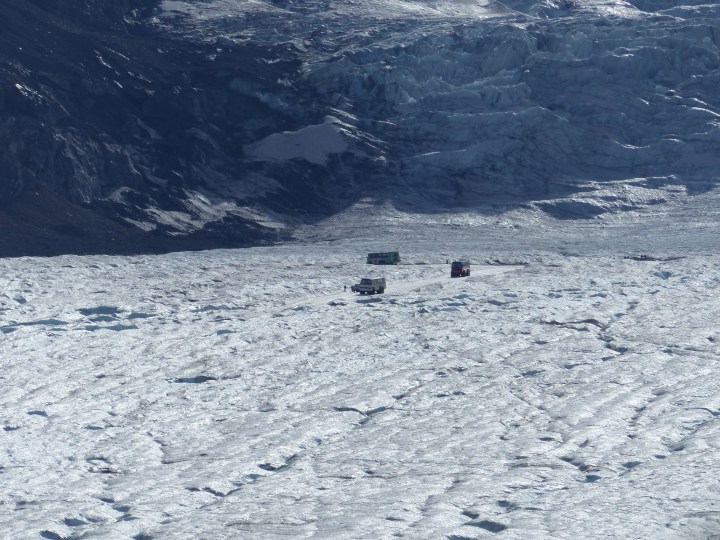 Bus tours on the glacier