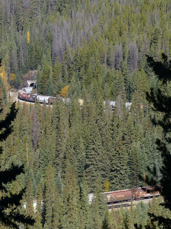 Spiral Tunnels, Yoho National Park