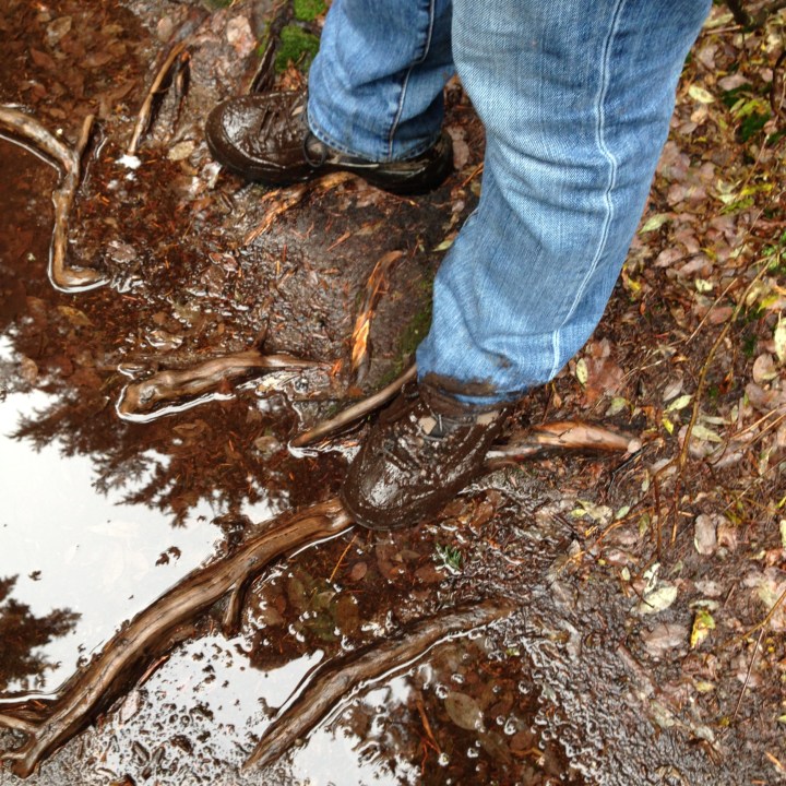 Muddy feet