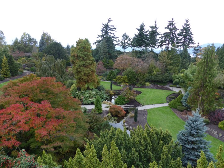 Quarry Gardens at Queen Elizabeth Park