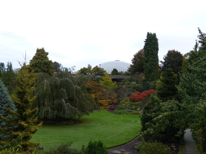 Bloedel Conservatory