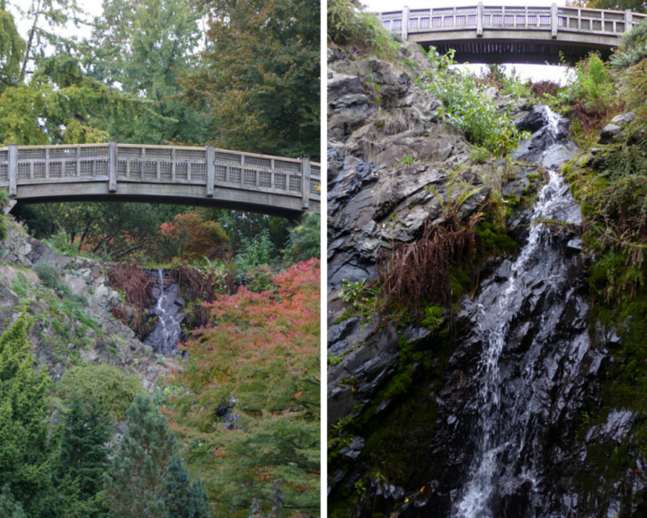 Queen Elizabeth Park waterfall