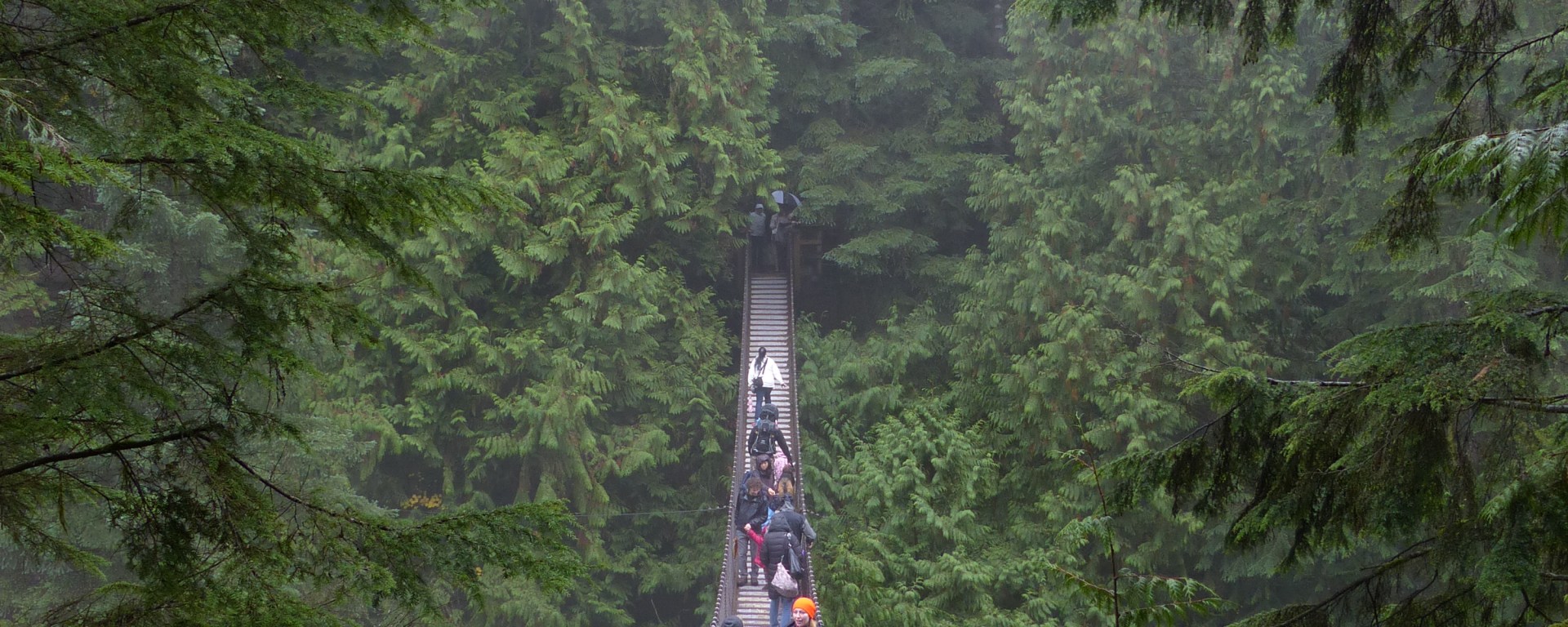 Lynn Canyon suspension bridge