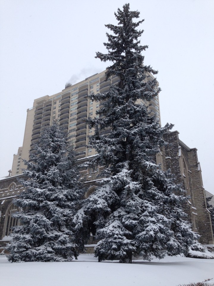 Toronto in the snow