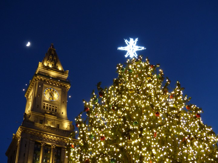 Faneuil Hall Marketplace Christmas tree