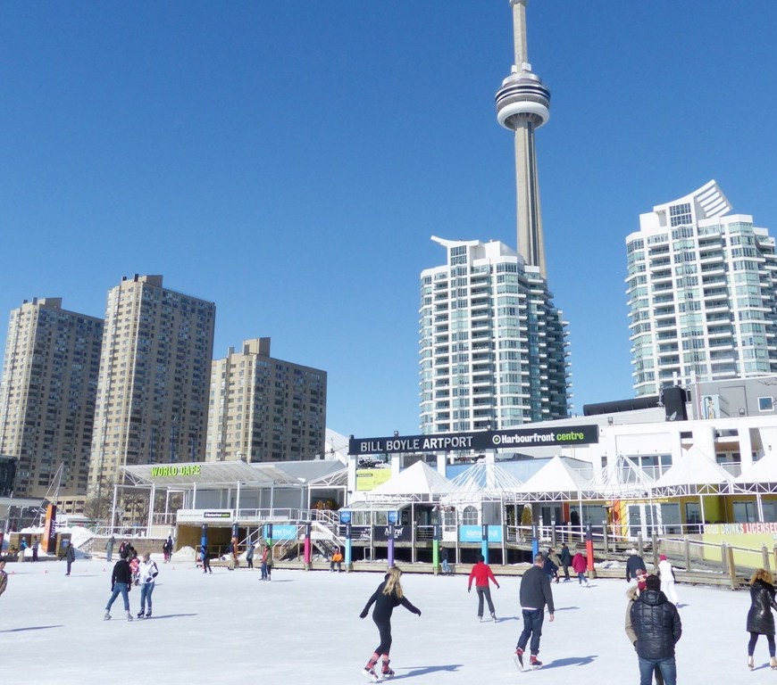 Harbourfront Toronto Ice Skating Brown Bear Travels