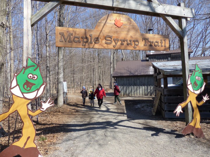 Maple Syrup Trail Bruce's Mill