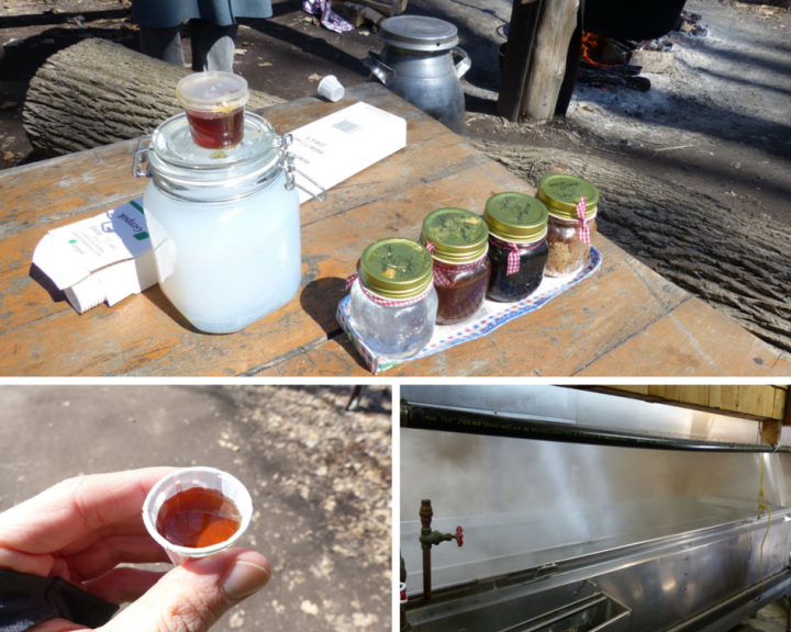 Maple syrup festival Bruce Mill's