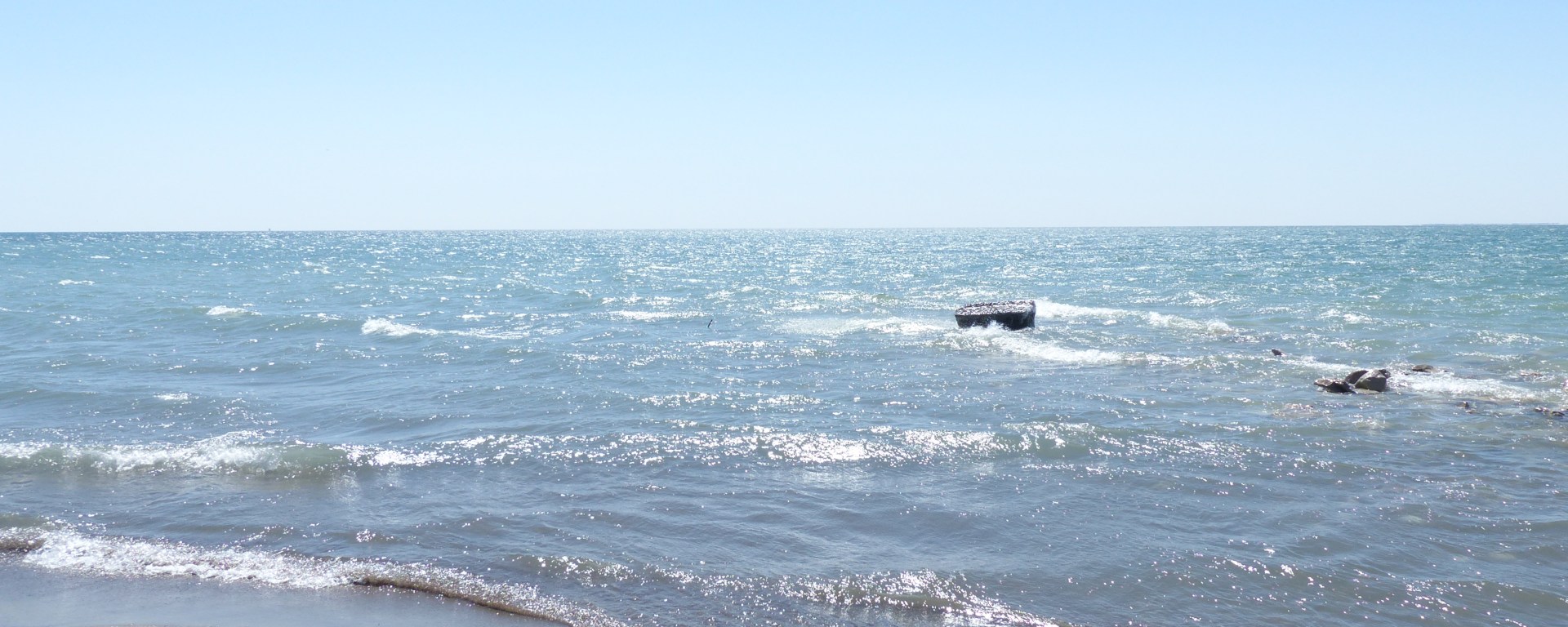 Point Pelee National Park tip