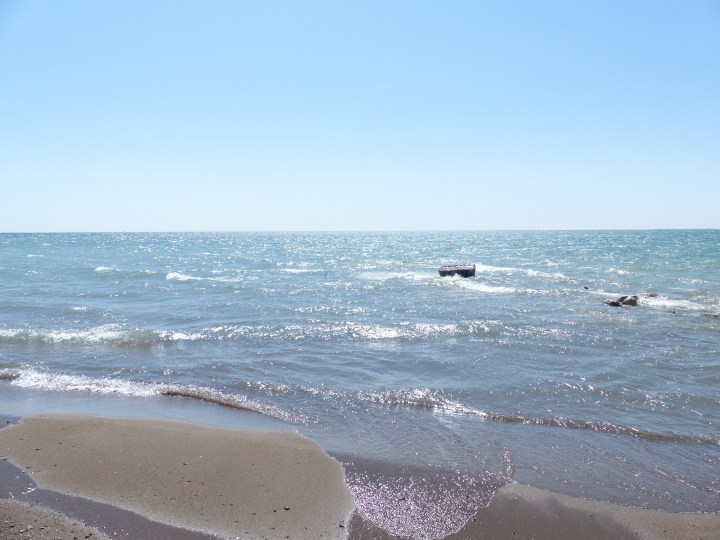 Point Pelee National Park tip