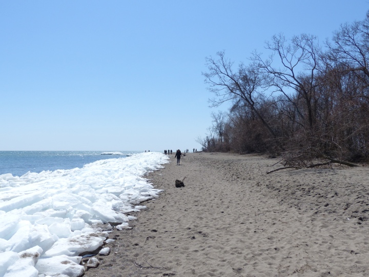 Point Pelee East Beach