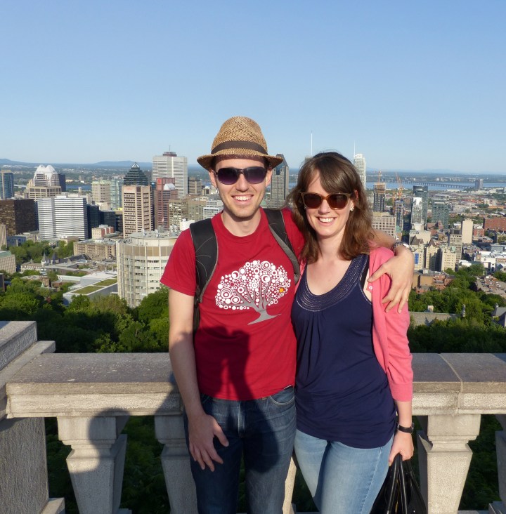 Brown Bear Travels Mont Royal