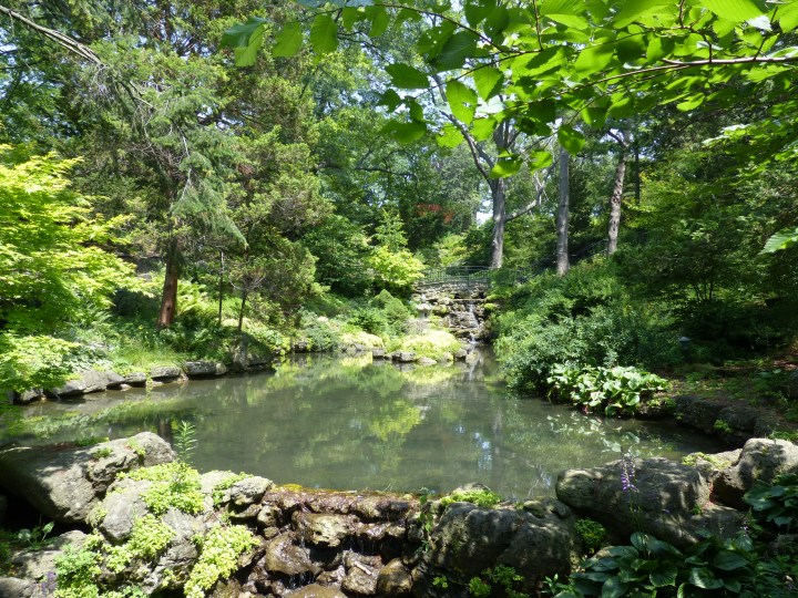 Hillside gardens High Park