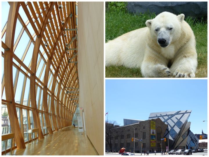 Toronto museum passes