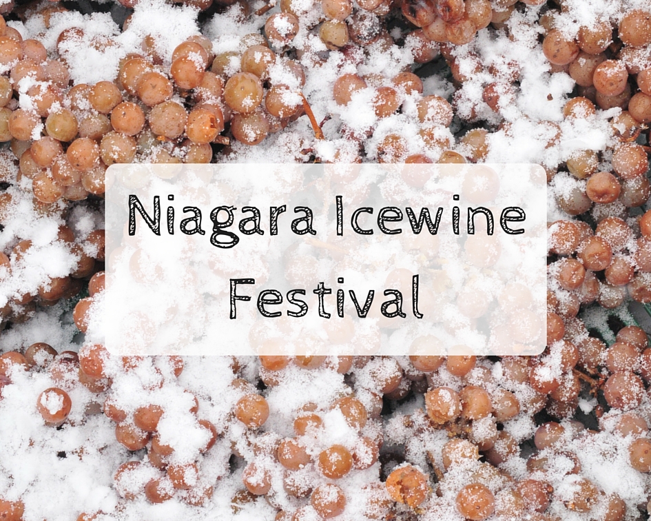 Niagara Icewine Festival