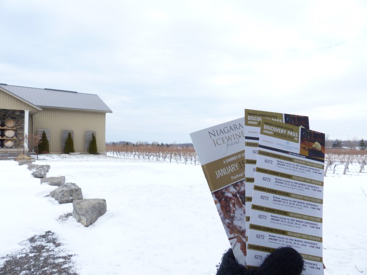 Icewine Festival Discovery Pass