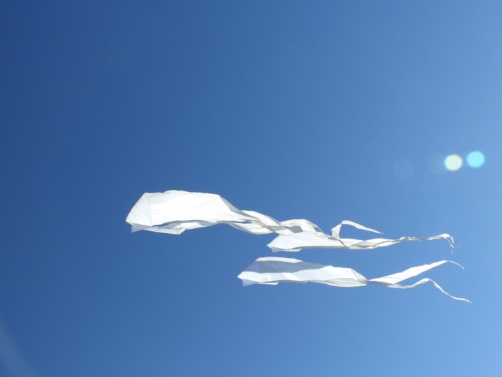 Toronto The Beaches kites