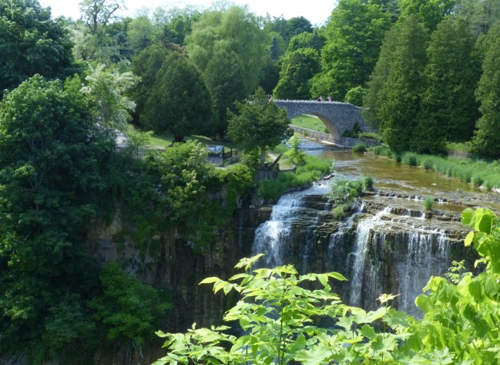 Webster's Falls