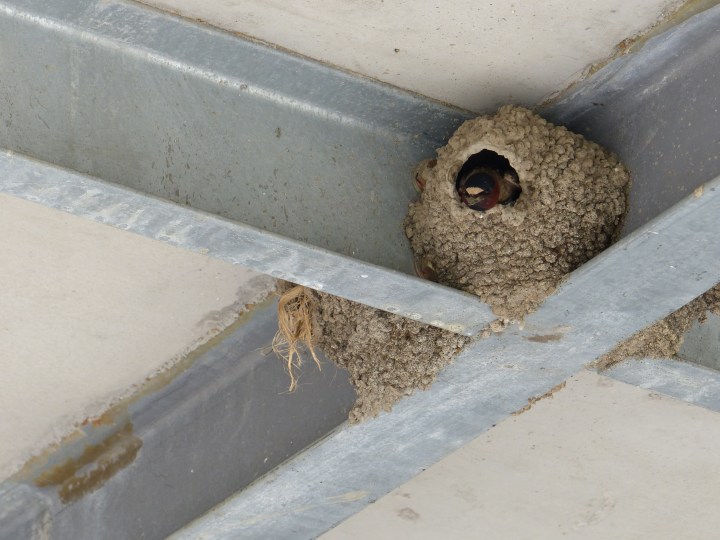 R. C. Harris Water Treatment Plant Doors Open Toronto
