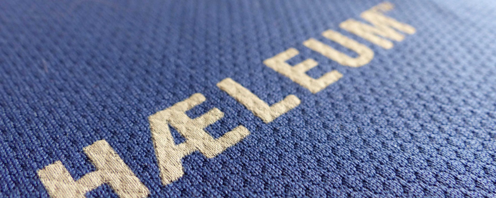 Haeleum Reccan insect repellent shirt