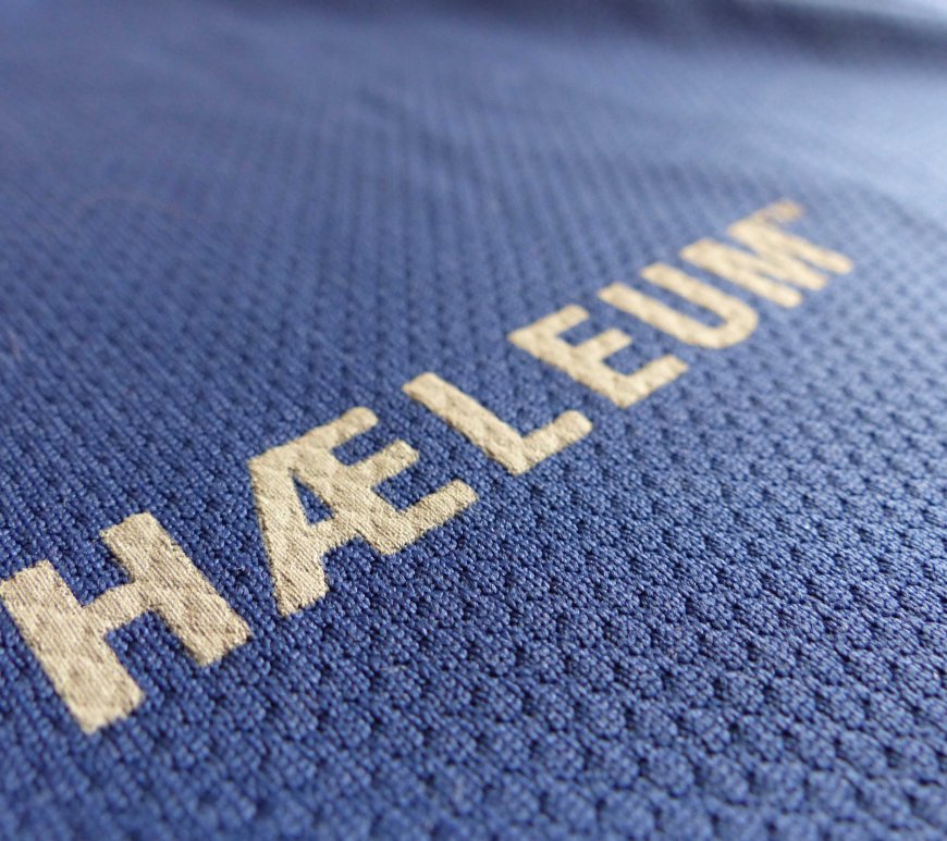 Haeleum Reccan insect repellent shirt